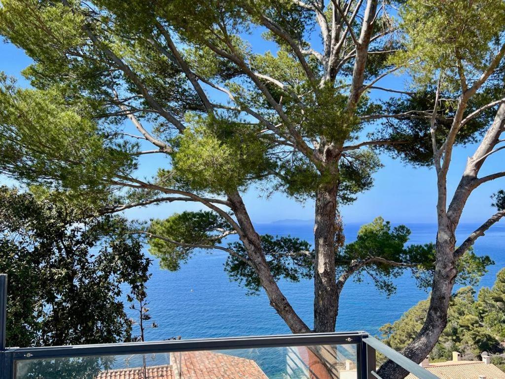 Magnifique Villa Neuve Vue Mer 滨海卡瓦莱尔 外观 照片
